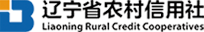 遼寧省農(nóng)村信用社聯(lián)合社：數(shù)據(jù)管理系統(tǒng)